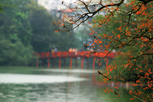 Mưa xuân Hồ Gươm